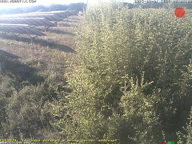 Camera Live Image
