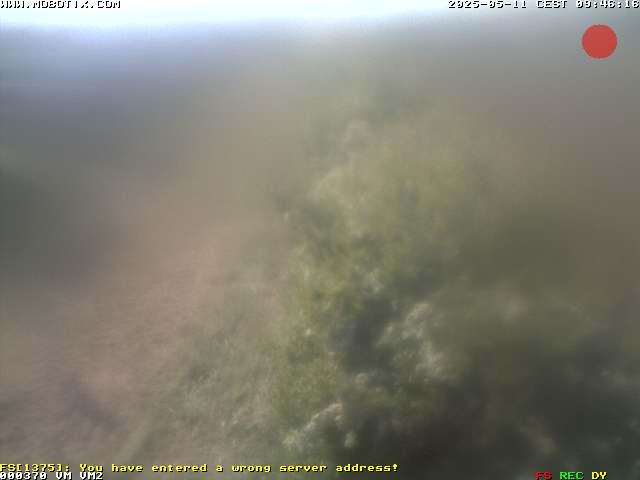 Camera Live Image