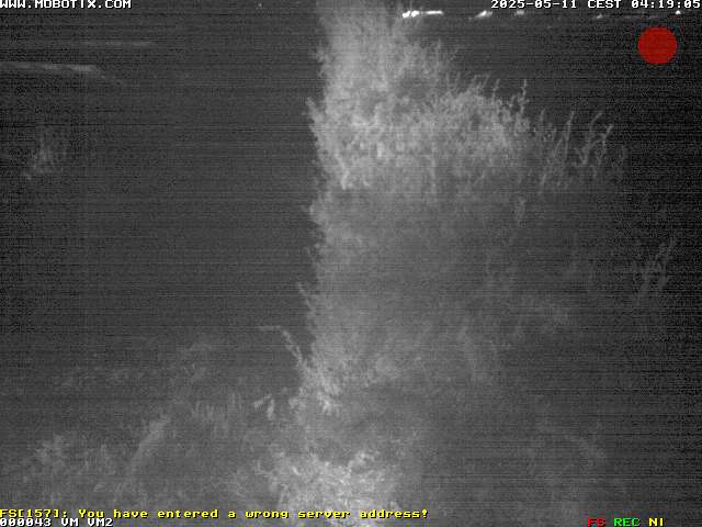 Camera Live Image