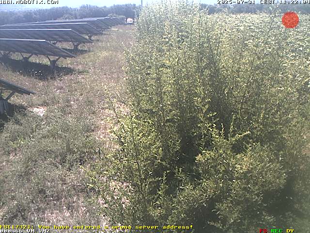 Camera Live Image