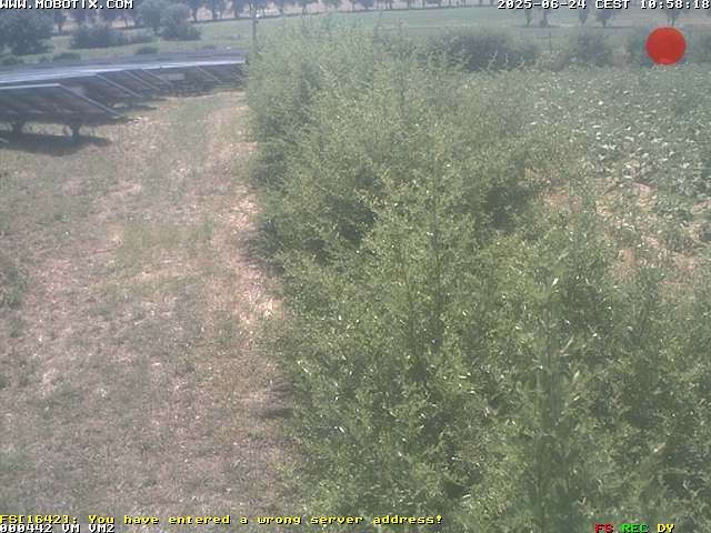 Camera Live Image