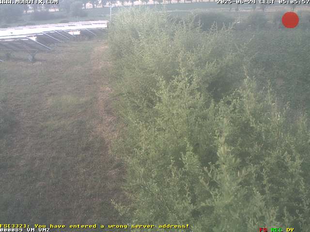 Camera Live Image