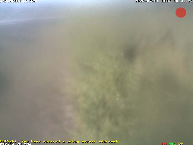 Camera Live Image