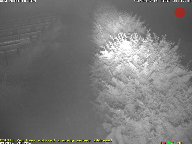 Camera Live Image