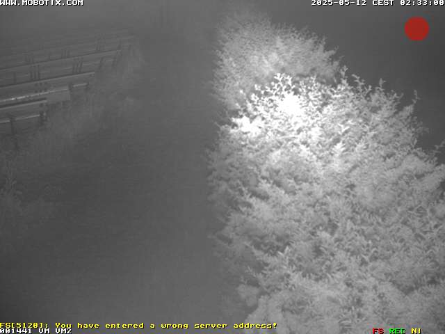 Camera Live Image
